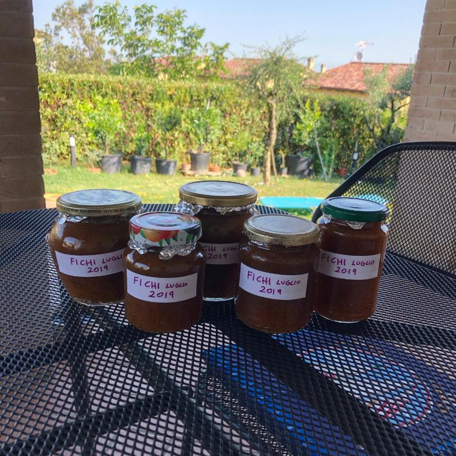B&B La Palma San Costanzo 外观 照片